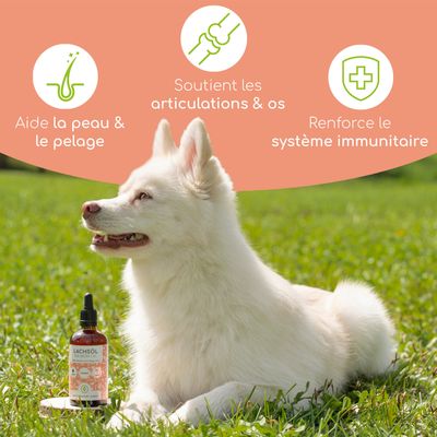 Wolfsbacher Natur Huile de saumon pour chiens