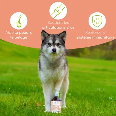 Wolfsbacher Natur Huile de Saumon