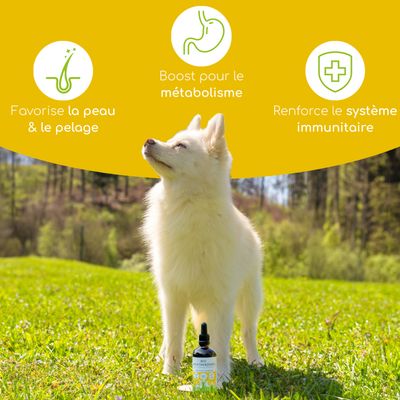 Wolfsbacher Natur Huile d’onagre bio pour chiens