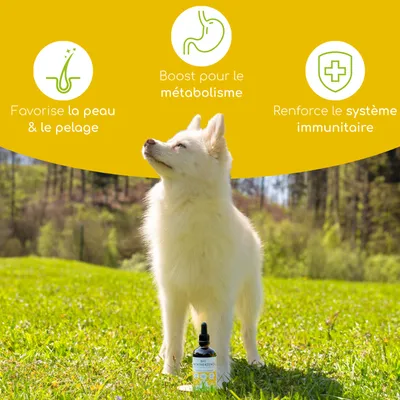 Wolfsbacher Natur Huile d’Onagre Bio 100ml