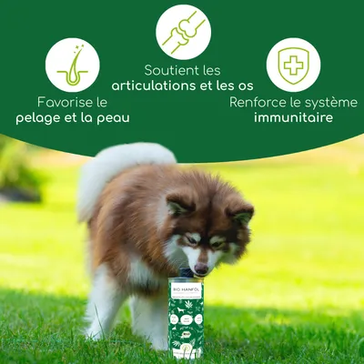 Wolfsbacher Natur Huile de Chanvre Bio