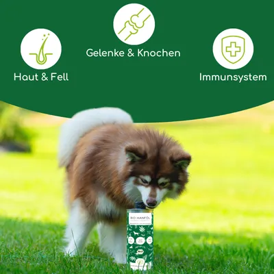 Wolfsbacher Natur Bio Hanföl