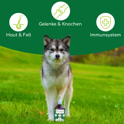 Wolfsbacher Natur Bio Hanföl Wolfsbacher Natur Bio Hanföl