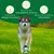 Wolfsbacher Natur Huile de Chanvre Bio Wolfsbacher Natur Huile de Chanvre Bio