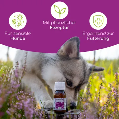 Wolfsbacher Natur Kräuter-Mix Tropfen Wolfsbacher Natur Kräuter-Mix Tropfen
