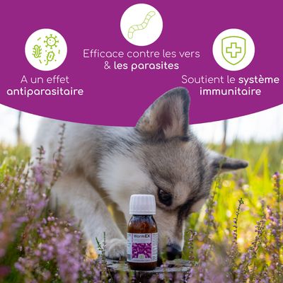 Wolfsbacher Natur Gouttes aux huiles pour chiens