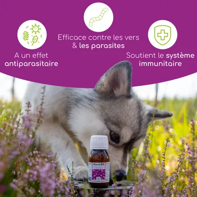 Wolfsbacher Natur Gouttes aux huiles pour chiens