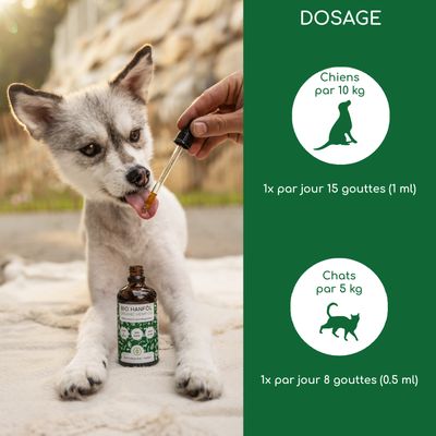 Wolfsbacher Natur Huile de chanvre bio pour chiens