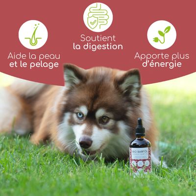 Wolfsbacher Natur Mélange d’huiles bio pour chiens