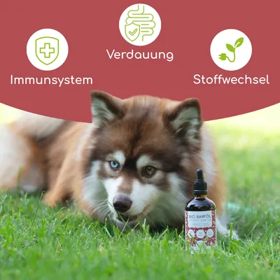 Wolfsbacher Natur Bio Barf Öl Wolfsbacher Natur Bio Barf Öl