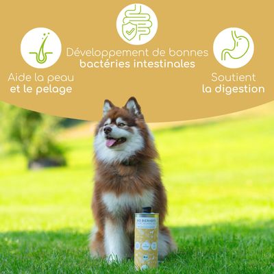 Wolfsbacher Natur Levure de bière bio liquide pour chiens