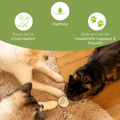 Wolfsbacher Natur Baume pour coussinets des chiens