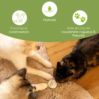 Wolfsbacher Natur Baume pour pattes