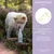 Wolfsbacher Natur Anti Juckreiz Spray Wolfsbacher Natur Anti Juckreiz Spray