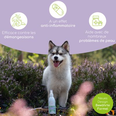Wolfsbacher Natur Spray de soin pour chiens