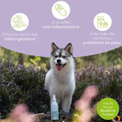 Wolfsbacher Natur Spray Anti-Démangeaisons