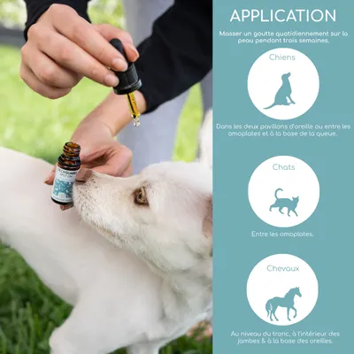 Wolfsbacher Natur Spot-On Gouttes