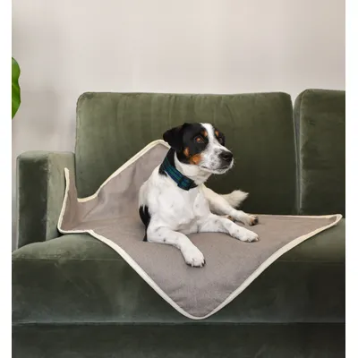 SLEEPY FOX® Couverture Douillette pour Chiens et Chats