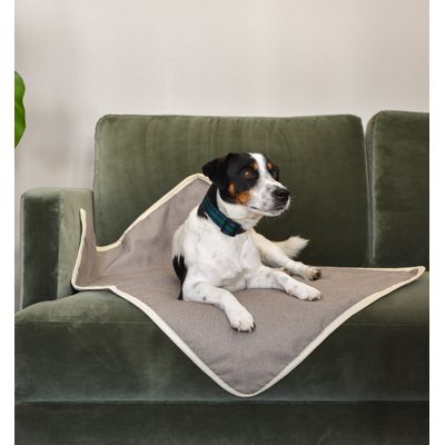 SLEEPY FOX® Couverture Douillette pour Chiens et Chats