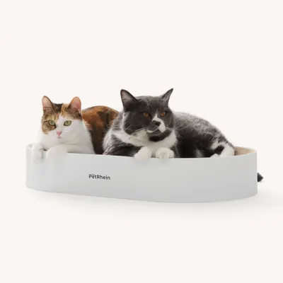 PetRhein - Carton à gratter - Zen Paw Series