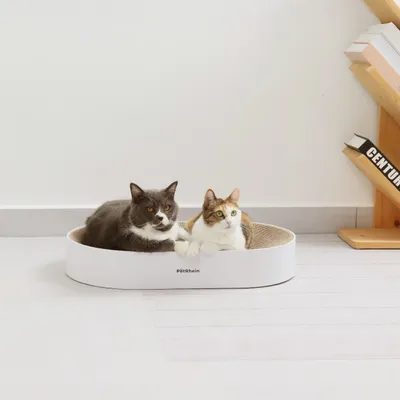 PetRhein Carton à gratter Zen Paw Series