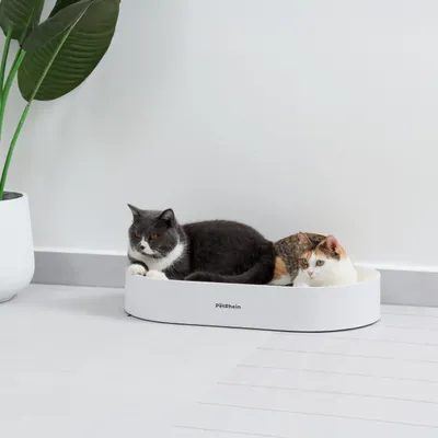 PetRhein Carton à gratter Zen Paw Series