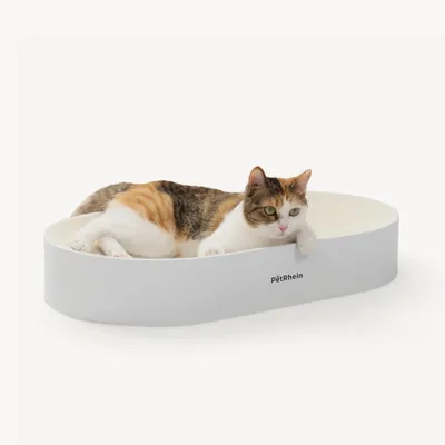 PetRhein - Carton à gratter - Zen Paw Series