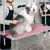 Yaheetech Table de Toilettage pour Chien