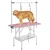 Yaheetech Table de Toilettage pour Chien