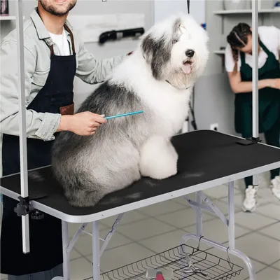 Hund Trimmtisch Schertisch Hundepflegetisch mit Unterkorb Hundefriseurtisch