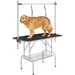 Yaheetech Table de Toilettage pour Chien