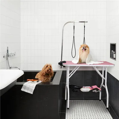 Table De Toilettage Pour Chien/chat/animaux De Companie Rose
