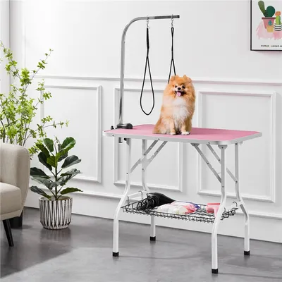 Yaheetech Table de Toilettage pour Animaux
