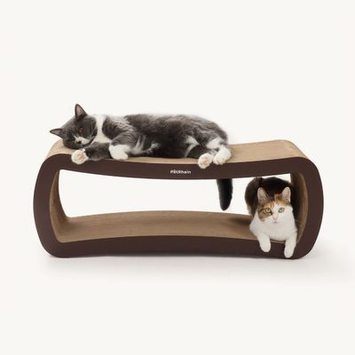 PetRhein - Carton à gratter - Ascent Paw Series