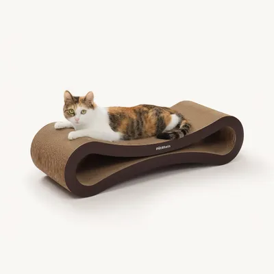 PetRhein Carton à gratter Ascent Paw Series