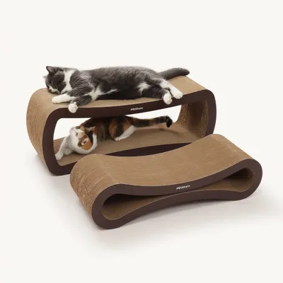 PetRhein Carton à gratter Ascent Paw Series