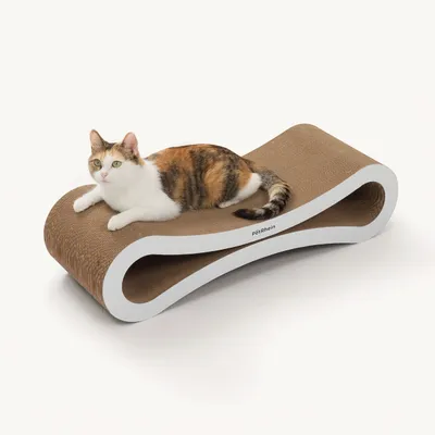 PetRhein - Griffoir - Ascent Paw Series