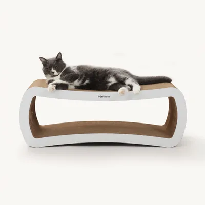 PetRhein - Griffoir - Ascent Paw Series