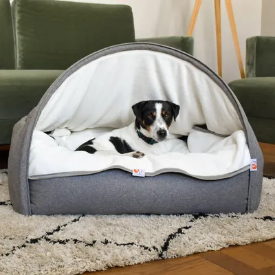 SLEEPY FOX® Couverture Douillette pour Chiens et Chats