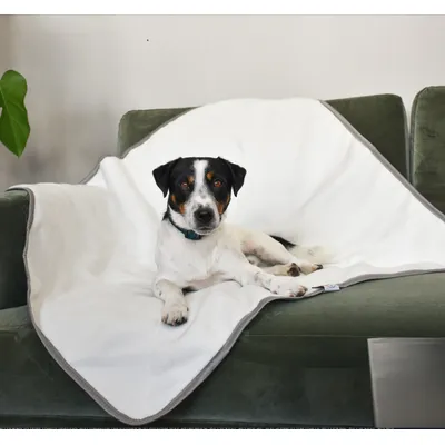 SLEEPY FOX® Couverture Douillette pour Chiens et Chats