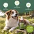 Wolfsbacher Natur Dentalspray für Hunde
