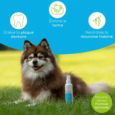 Wolfsbacher Natur Spray Dentaire