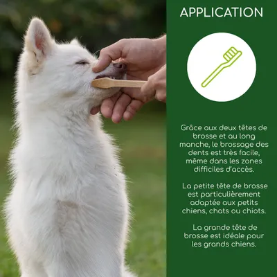 Wolfsbacher Natur 1x Brosse à dents en bambou