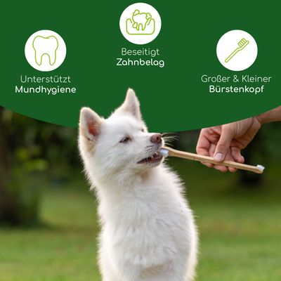 Wolfsbacher Natur Zahnbürsten mit Bambusgriff für Hunde (2 Stück)