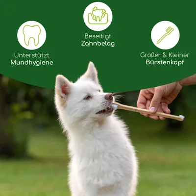 Wolfsbacher Natur Zahnbürste aus Bambus Wolfsbacher Natur Zahnbürste aus Bambus
