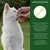 Wolfsbacher Natur 2x Brosses à dents en bambou