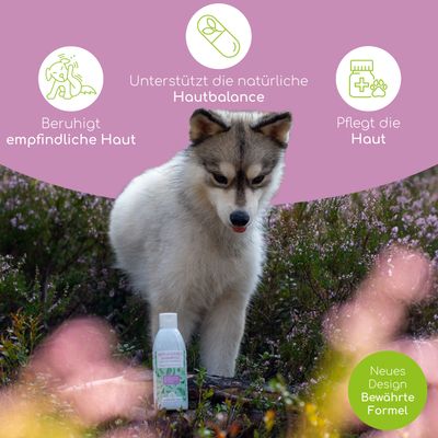 Wolfsbacher Natur Shampoo für Hunde