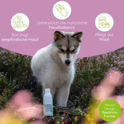 Wolfsbacher Natur Shampoo Anti Juckreiz Wolfsbacher Natur Shampoo Anti Juckreiz