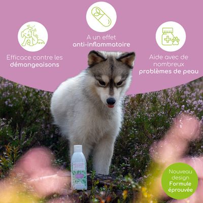 Wolfsbacher Natur Shampooing pour chiens