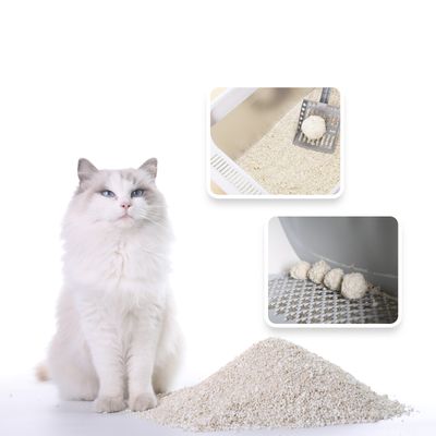 Catsplan - Litière Végétale - Formule Avancée